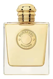 Como Perfume é Feito: O Processo Completo Por Trás das Fragrâncias